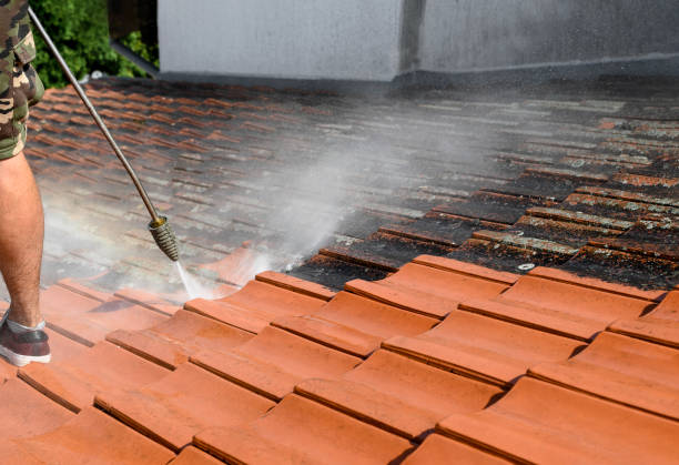 Best Best Pressure Washing Companies  in Muenster, TX