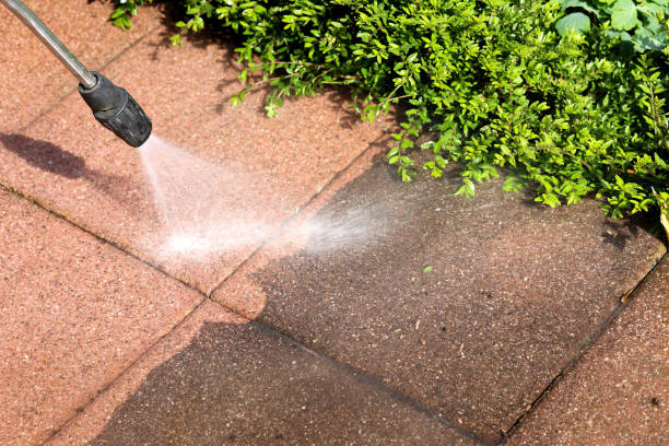 Best Pressure Washing Company Near Me  in Muenster, TX